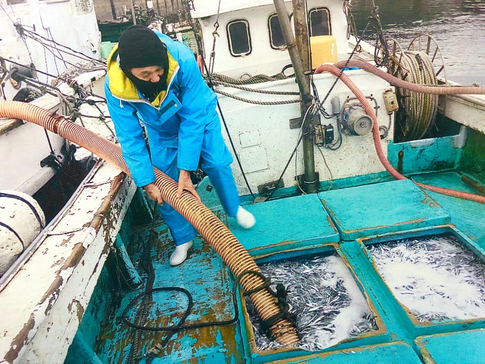 2.港に着くと、一気に加工場へ吸い上げていきます。